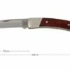 Buck 501 Squire 0501RWS-B, Rosewood, With Sheath -Knives and Tools Shop BUCK0501RWS B 01 buck 501 squire knife buck0501rws b 01