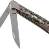 Case Copperhead Abalone, 12023, 8249W SS Pocket Knife, Gift Box -Knives and Tools Shop CE12023 01 case