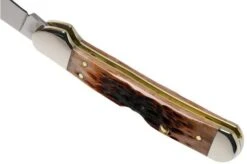 Case Mini Copperlock Brown Bone, Peach Seed Jig, 42655, 61749L SS Pocket Knife 11 Case Mini Copperlock Brown Bone, Peach Seed Jig, 42655, 61749L SS Pocket Knife -Knives and Tools Shop CE42655 04 case