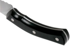 Due Cigni Arne Line Bread Knife 23 Cm, Black 11 Due Cigni Arne Line Bread Knife 23 Cm, Black -Knives and Tools Shop DG2C903 04 due cigni arne