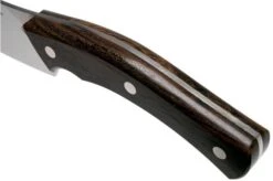Due Cigni Arne Line Carving Knife 20 Cm, Ziricote -Knives and Tools Shop DG2C905ZW 05 due cigni arne 1