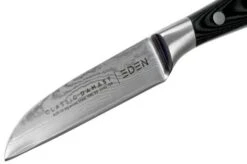 Eden Classic Damast Peeling Knife 9 Cm 12 Eden Classic Damast Peeling Knife 9 Cm -Knives and Tools Shop EQ2030 108 03 eden classic damast v2018