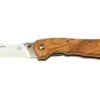 Fox Knives Spora Mushroom Satin Olive FX-409OL, Mushroom Knife