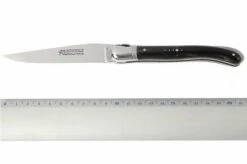 Fontenille Pataud L6PCN -Knives and Tools Shop FPL6PCN 06 fontenille pataud fpl6pcn d5