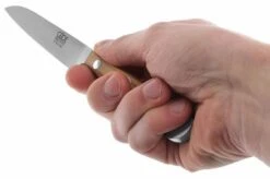 Güde Alpha Olive Peeling Knife, X701/09 11 Güde Alpha Olive Peeling Knife, X701/09 -Knives and Tools Shop GUX701 09 05 gude alpha olive gux701 09 05 1
