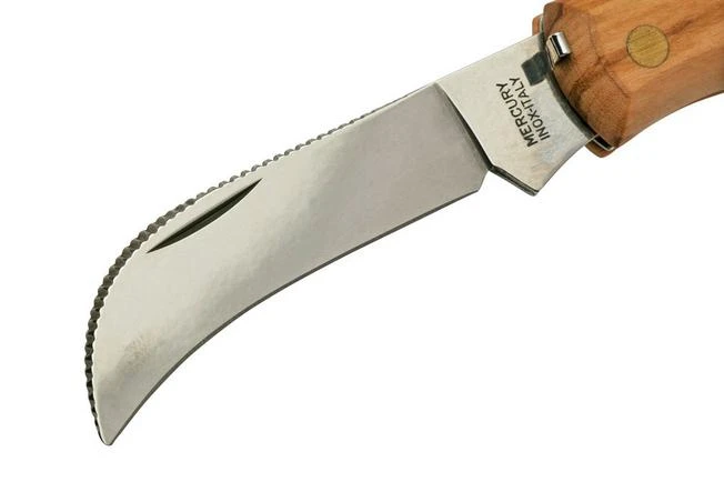 Mercury Mico 1 9M1UP Olive Wood, Mushroom Knife 5 Mercury Mico 1 9M1UP Olive Wood, Mushroom Knife - Image 3