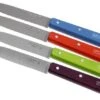Set Of 4 Opinel Paring Knives N°112 Pop 2 Set Of 4 Opinel Paring Knives N°112 Pop -Knives and Tools Shop OP001381 01 opinel tafelmesset op001381 01