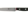 Richardson Sheffield Velocity 123BFCSB3116 Utility Knife, 12.5cm 1 Richardson Sheffield Velocity 123BFCSB3116 Utility Knife, 12.5cm -Knives and Tools Shop RFR123BFCSB3116 01 richardsonsheffield