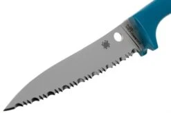 Spyderco Counter Puppy Serrated Tomato Knife Blue, K20SBL -Knives and Tools Shop SPK20SBL 03 spyderco 1