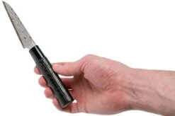 Tojiro Shippu Black Damascus Paring Knife (Petty) 9 Cm, FD-1591 15 Tojiro Shippu Black Damascus Paring Knife (Petty) 9 Cm, FD-1591 -Knives and Tools Shop TJFD 1591 06 tojiro sippu black