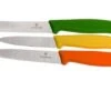 Victorinox SwissClassic Vegetable Knife Set, Set Of 3, 6.7116.31G 1 Victorinox SwissClassic Vegetable Knife Set, Set Of 3, 6.7116.31G -Knives and Tools Shop VT6 7116 31G 01 victorinox vt6 7116 31g 01