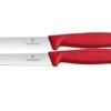 Victorinox Swiss Classic 6.7791.2C1 Straight/Wavy, Red, Set Of 2 Vegetable Knives, 10 Cm -Knives and Tools Shop VT6 7791 2C1 01 victorinox