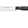 Wüsthof Gourmet Kitchen Knife 14 Cm, 1025046814 2 Wüsthof Gourmet Kitchen Knife 14 Cm, 1025046814 -Knives and Tools Shop WU1025046814 01 wusthof stockfoto