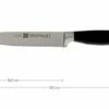 Zwilling 30070-161 Four Star II Carving Knife 1 Zwilling 30070-161 Four Star II Carving Knife -Knives and Tools Shop ZW30070 161 01 zwilling four star ii zw30070 161 01