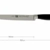Zwilling 30070-201 Four Star II Carving Knife -Knives and Tools Shop ZW30070 201 01 zwilling four star ii zw30070 201 01