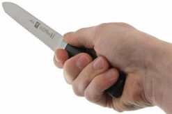 Zwilling 31070-130 Four Star Sausage Knife -Knives and Tools Shop ZW31070 130 05 zwilling four star zw31070 130 05