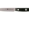 Zwilling Gourmet Paring Knife 10 Cm, 36110-101 1 Zwilling Gourmet Paring Knife 10 Cm, 36110-101 -Knives and Tools Shop ZW36110 101 0 01 zwilling gourmet zw36110 101 0 01 2