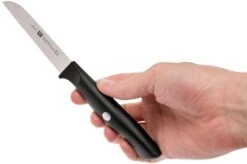 Zwilling Life Vegetable Knife, 38580-091-0 -Knives and Tools Shop ZW38580 091 0 06 zwilling life zw38580 091 0 06