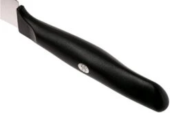 Zwilling Life Carving Knife, 38580-161-0 12 Zwilling Life Carving Knife, 38580-161-0 -Knives and Tools Shop ZW38580 161 0 04 zwilling life zw38580 161 0 04 1