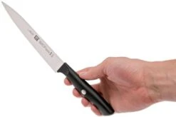Zwilling Life Carving Knife, 38580-161-0 14 Zwilling Life Carving Knife, 38580-161-0 -Knives and Tools Shop ZW38580 161 0 06 zwilling life zw38580 161 0 06 1