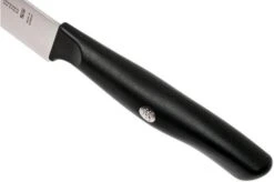 Zwilling Life Carving Knife 20 Cm, 38580-201-0 -Knives and Tools Shop ZW38580 201 0 05 zwilling zw38580 201 0 05 1